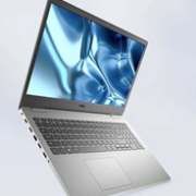 DELL 戴尔 灵越15-3501 15.6英寸笔记本电脑（i5-1135G7、16GB、512GB）