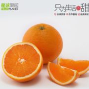 星球果园 长江云雾甜橙5斤
