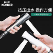 KOHLER 科勒 R98100 马桶喷枪套装（银色喷枪+免钉支架）