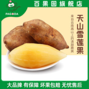 百果园 云南天山雪莲果  5斤 单果200g+