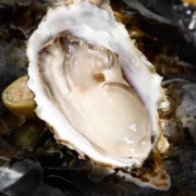 旗舰店发货，现捞现发：带壳6斤 蜀皇 乳山生蚝 40只左右
