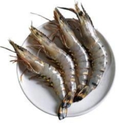 SuXian 速鲜 黑虎虾 净重350g*2盒