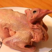 24H现杀！山野色 24H现杀 新鲜鸽子肉整只 330g