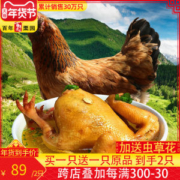 首农旗下 百年栗园 500天散养老母鸡 2斤*2只