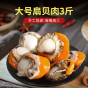 渔民岛  冷冻扇贝肉  大号海鲜水产 肉肥带黄 袋装1500g