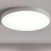 金紫薇 简约led吸顶灯 白光 23*5cm 12W