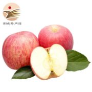 限地区！静益乐源 红富士苹果 2500g