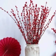 PLUS会员：京东 鲜花速递 远方的花 年宵花 银柳8枝
