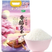 十月稻田 香稻贡米 东北大米 5kg +金唐冰糖100g