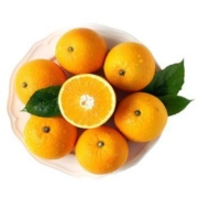 静益乐源 麻阳冰糖橙 2.5kg