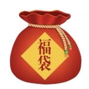 Fuguang 富光 福袋盲盒 随机超值袋 1个