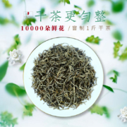 春伦茶叶 茉莉花茶100g