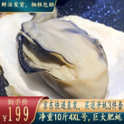 Plus会员：IPH IPH 蓝盒子 新鲜乳山生蚝 10斤