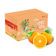 供销京橙 赣南脐橙玫瑰橙（60-69mm）净重约4.5斤