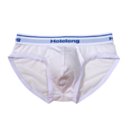 Holelong 活力龙 HCS025003 透明网纱三角裤 3件装