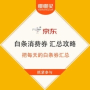薅羊毛攻略：京东 白条消费券 汇总攻略