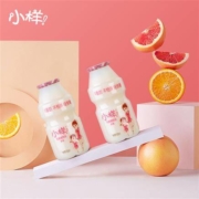小样 乳酸菌饮料 100ml*20瓶