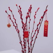 PLUS会员：鲜花速递 远方的花 年宵花 银柳8枝
