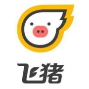 飞猪 188元 春运出行礼包（含机票券+租车券+接送机券）
