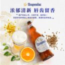 Hoegaarden 福佳 比利时风味精酿小麦白啤酒330ml*6瓶