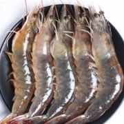速鲜 厄瓜多尔白虾大号净重1.4kg
