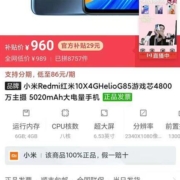 Redmi 红米 10X 4G版 智能手机 4GB+128GB