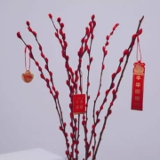 PLUS会员：鲜花速递 远方的花 年宵花 银柳8枝