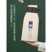 白菜价：某天 家用保温水壶 1000ml