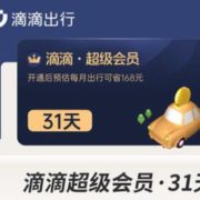 滴滴出行 超级会员31天月卡