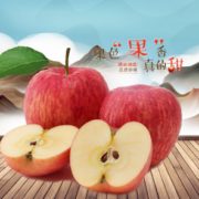神山果农 高原蜜脆苹果当季红富士净重4.4斤礼盒装（果径75~80mm）