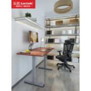 BUG价、小编已入： Loctek 乐歌 E2S 智能电动升降桌 100*60cm