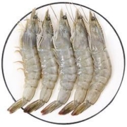 浓鲜时光 深海白虾1.4kg