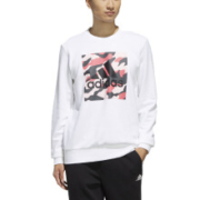 adidas 阿迪达斯 FJ0223 男装运动型格卫衣