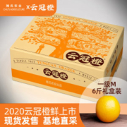 褚橙 云冠橙 M号6斤 礼盒装