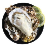 京东PLUS会员： 尚致 冷冻生蚝肉 500g *5件