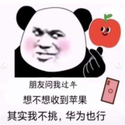 #机汇·年货节主题征集：想要带回过年的数码产品