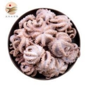 plus会员：莲山九鲜 迷你小八爪鱼 500g *2件
