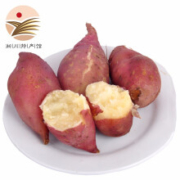 白心地瓜 板栗红薯  带箱10斤