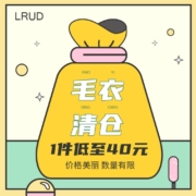 ?LRUD MY-1 女士清仓毛衣 多款式