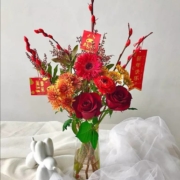 plus会员：远方的花 年宵花 牛赚钱坤