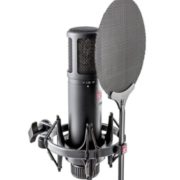 sE Electronics sE2200 专业录音电容麦克风 带防震架+防喷罩  到手约￥1544.82