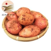 京东PLUS会员：云南红皮小土豆2.5斤*4件