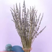 plus会员：花点时间  薰衣草干花1扎-约100g