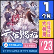哔哩哔哩 大会员 1个月