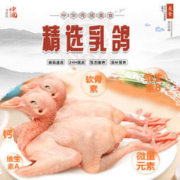 山野色 现杀 新鲜鸽子肉整只 330g