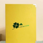 时间轴  成品相册  12寸 24P 可放13-50张照片
