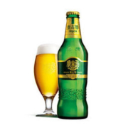 TSINGTAO/青岛啤酒 奥古特小瓶 330ml*24 包邮 整箱