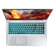 百亿补贴：MECHREVO机械革命X8Pro17.3英寸笔记本电脑（i7-10875H、16GB、512GB、RTX3060)