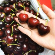 已核酸检测！果然优 智利进口车厘子樱桃 JJJ级 2.5kg