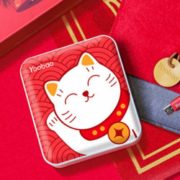 Yoobao 羽博YB-6024 移动电源 10000毫安